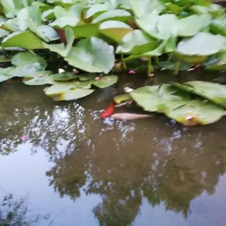 Brezza Villa Capaccio